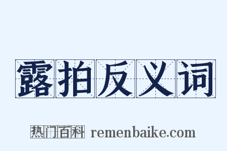 露拍反义词是什么意思的图片